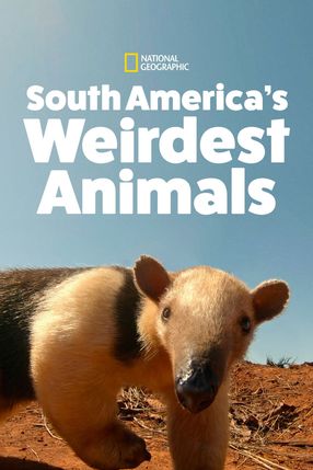 Poster: South America's Weirdest Animals