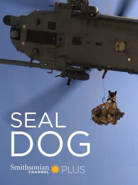 Poster: SEAL Dog