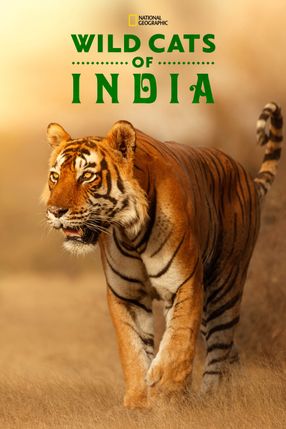 Poster: Wild Cats of India