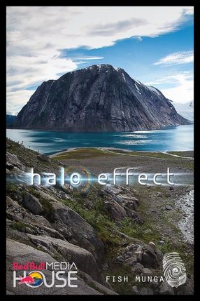 Poster: Halo Effect