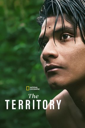 Poster: The Territory