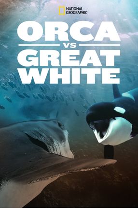 Poster: Orca Vs. Great White