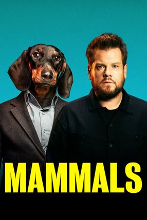 Poster: Mammals