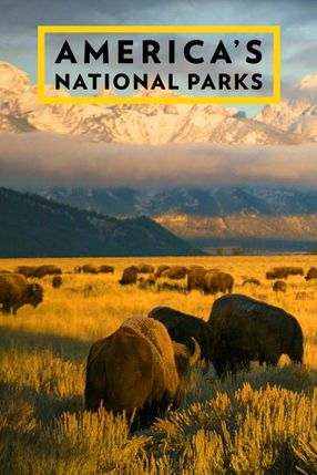 Poster: Amerikas Nationalparks