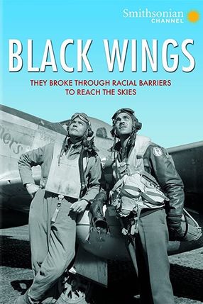 Poster: Black Wings