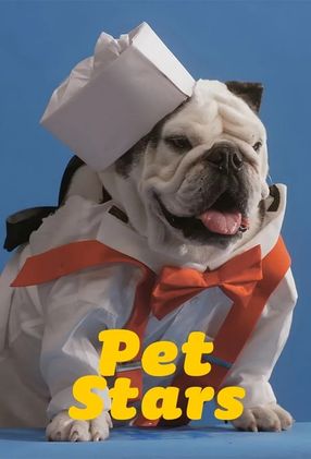 Poster: Pet Stars