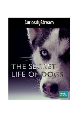 Poster: The Secret Life of Dogs
