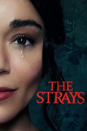 Poster: The Strays