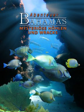 Poster: Adventure Bahamas 3D - Mysterious Caves And Wrecks