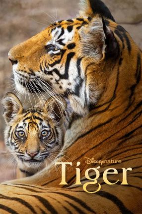 Poster: Tiger