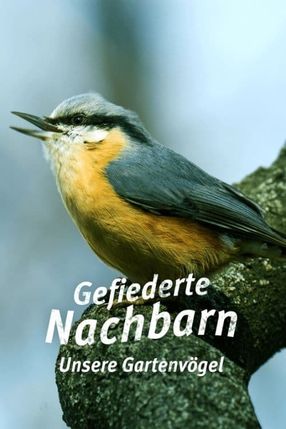 Poster: Gefiederte Nachbarn - Unsere Gartenvögel