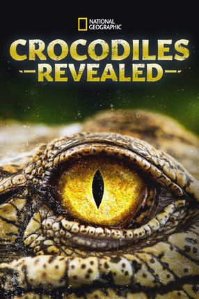 Poster: Crocodiles Revealed