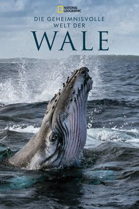 Poster: Die geheimnisvolle Welt der Wale