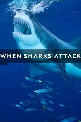 Poster: When Sharks Attack