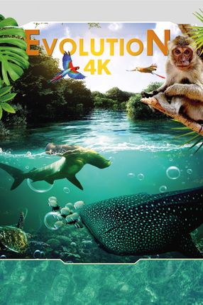 Poster: Evolution 4K