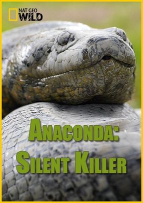 Poster: Anaconda: Silent Killer