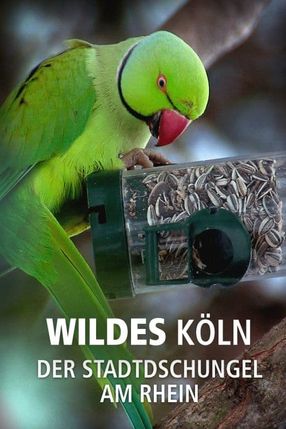 Poster: Wildes Köln: Der Stadtdschungel am Rhein