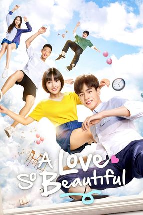 Poster: A Love So Beautiful