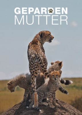 Poster: Gepardenmutter