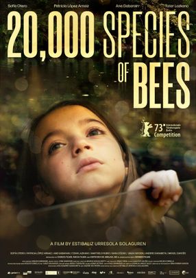 Poster: 20.000 Arten von Bienen
