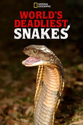 Poster: World's Deadliest Snakes