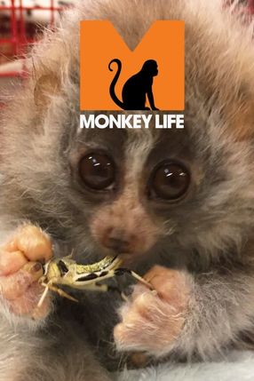 Poster: Monkey Life