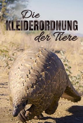 Poster: Die Kleiderordnung der Tiere - Wer trägt was und warum