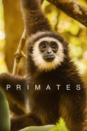 Poster: Die Welt der Primaten