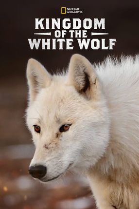Poster: Königreich des Polarwolfs