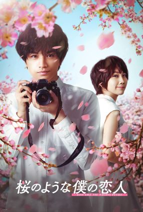 Poster: Love Like the Falling Petals