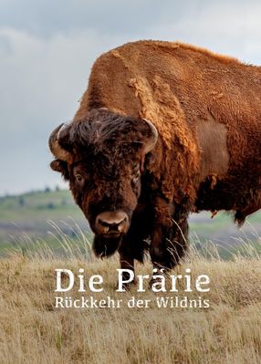 Poster: Die Prärie - Rückkehr der Wildnis