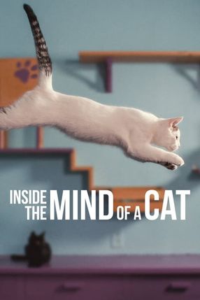 Poster: Inside the Mind of a Cat