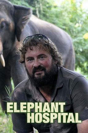 Poster: Das Elefantenkrankenhaus von Thailand
