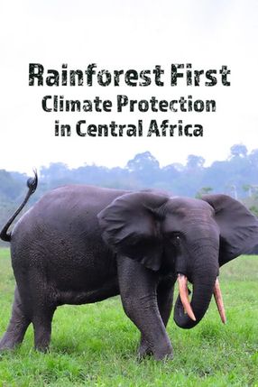 Poster: Rainforest First: Climate Protection in Central Africa