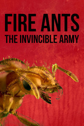 Poster: Fire Ants 3D - Die unbesiegbare Armee