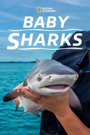 Poster: Baby Sharks