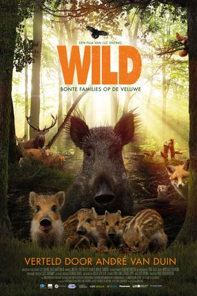 Poster: Wild