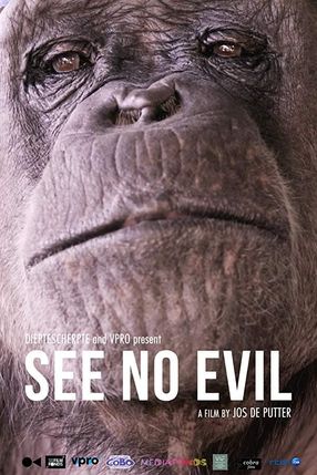 Poster: See No Evil