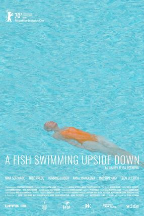 Poster: Ein Fisch, der auf dem Rücken schwimmt