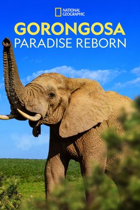 Poster: Gorongosa: Paradise Reborn