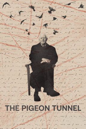 Poster: The Pigeon Tunnel