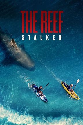 Poster: The Reef: Stalked