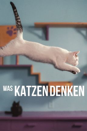 Poster: Was Katzen denken