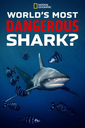 Poster: World's Most Dangerous Shark?