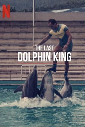 Poster: The Last Dolphin King