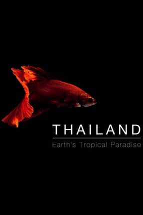 Poster: Wildes Thailand