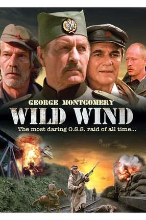 Poster: Commando Wild Wind