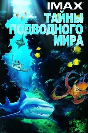 Poster: IMAX: Wunder der Tiefe