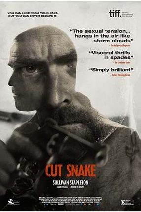 Poster: Cut Snake