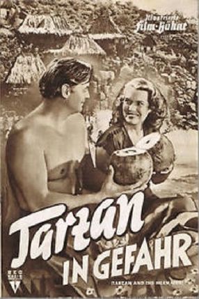 Poster: Tarzan in Gefahr
